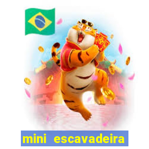 mini escavadeira aluguel rj